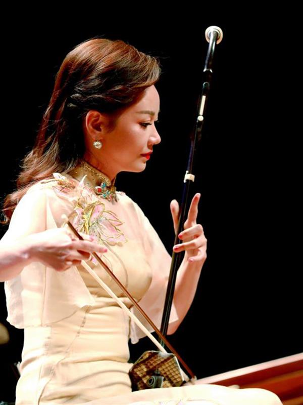 Erhu Musical instrument Erhu