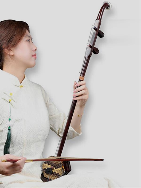 Musical instrument Ebony Erhu