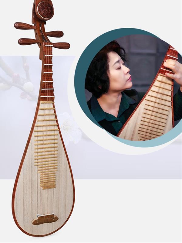 Pipa Musical instrument Rosewood Pipa