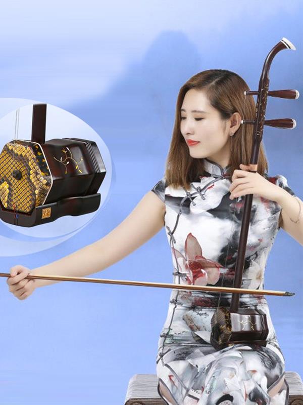 Erhu Musical instrument Erhu