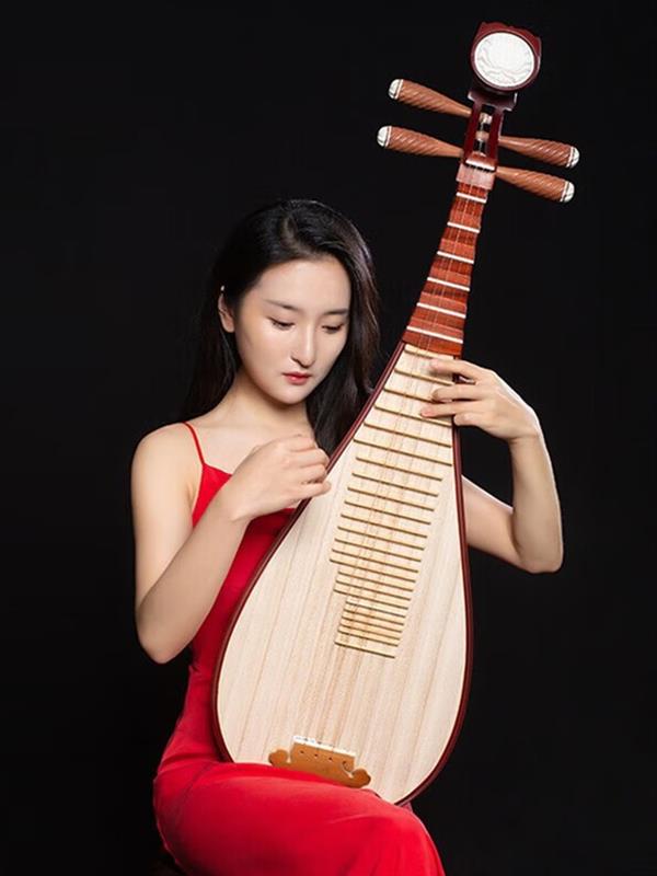 Pipa Musical instrument Rosewood Pipa