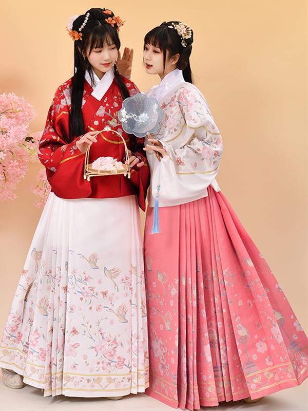 Ming-dynasty Hanfu Jacket Pleated skirt Hanfu